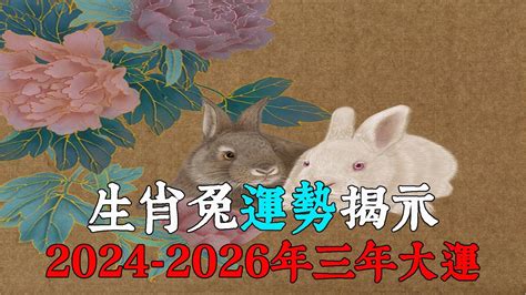 2024生肖兔運勢|【屬兔2024生肖運勢】是非多人氣旺，運勢漸入佳。